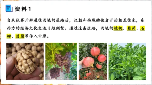 【人教新版】七上 第六章 跨学科主题学习 《探索外来食物传播史》（教学课件24张）