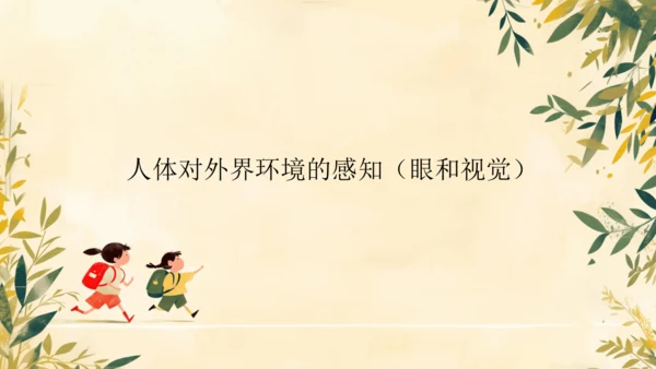 初中生物学人教版（新课程标准）七年级下册4.6.1人体对外界环境的感知课件(共33张PPT)