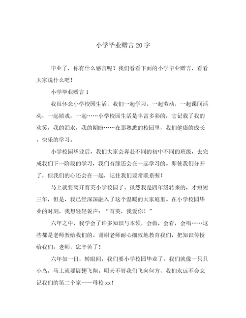 小学毕业赠言20字