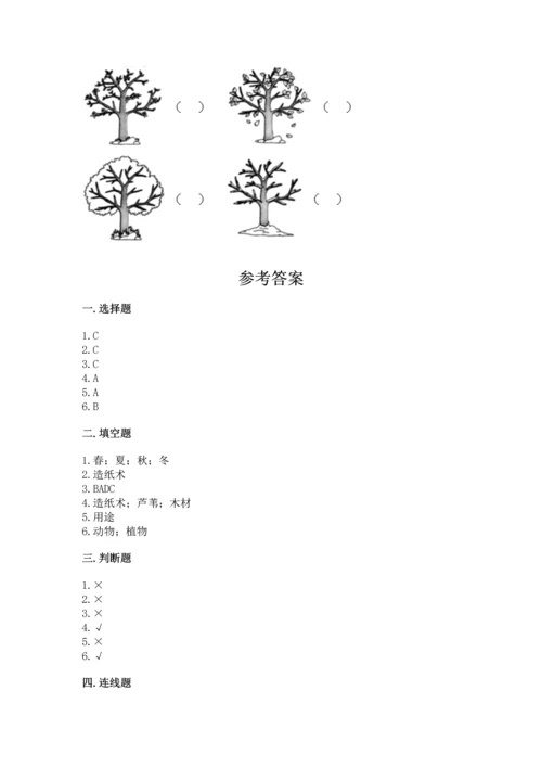 教科版二年级上册科学期末测试卷附完整答案【精选题】.docx