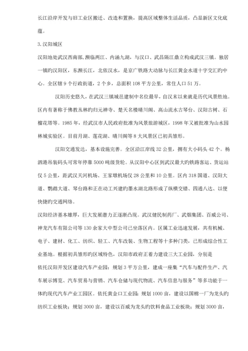 开发区专项项目市场调研综合报告.docx