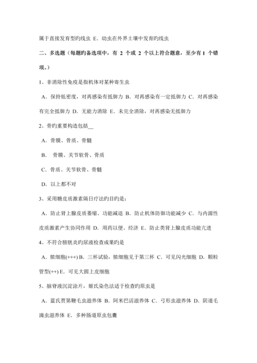 2023年上半年福建省初级护师基础知识相关专业知识考试题.docx