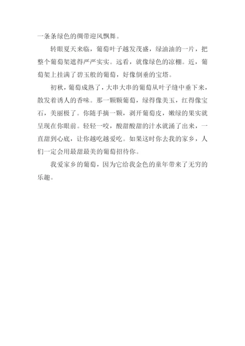 关于葡萄的作文250字.docx