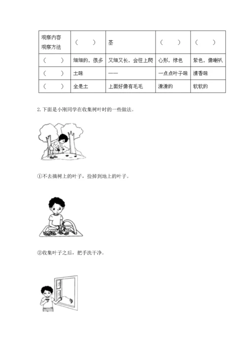 教科版科学一年级上册期末测试卷【考点提分】.docx