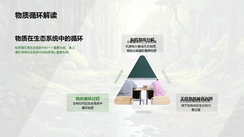 探索生态系统