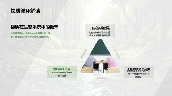 探索生态系统