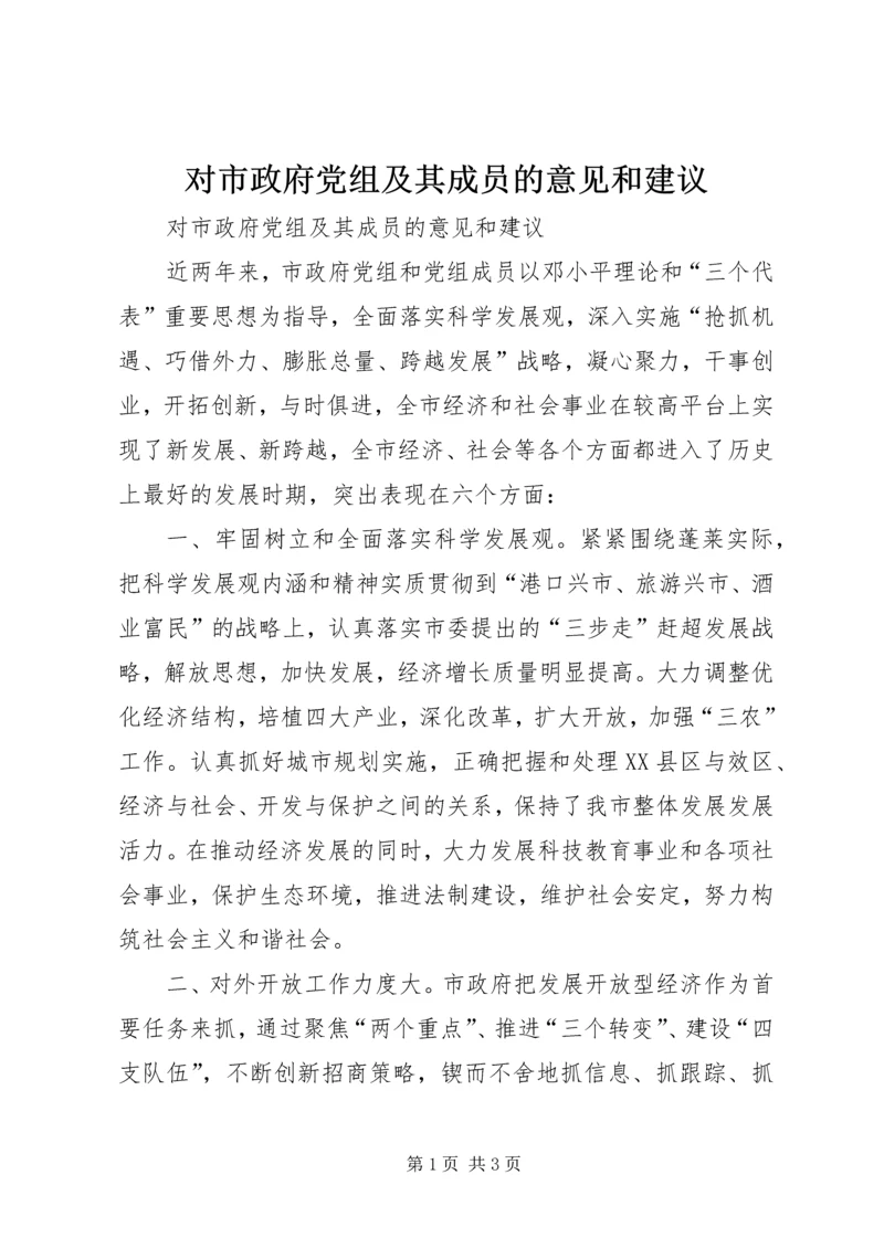 对市政府党组及其成员的意见和建议.docx