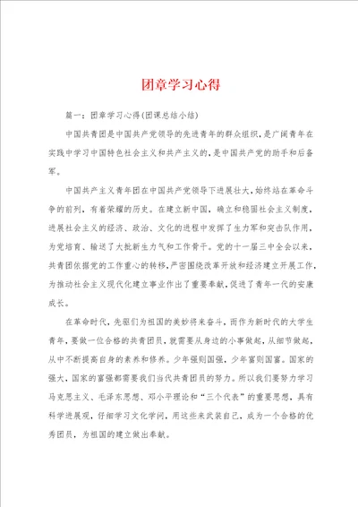 团章学习心得