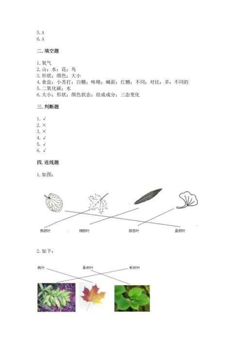 教科版科学一年级上册第一单元《植物》测试卷及答案（夺冠）.docx