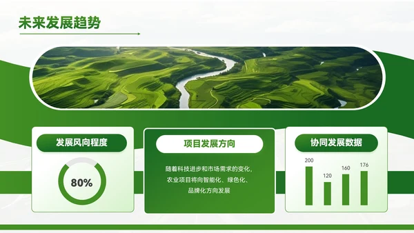 绿色质感风农业项目赋能乡村振兴PPT模板