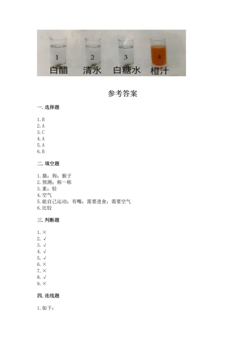 教科版一年级下册科学期末测试卷附答案【巩固】.docx