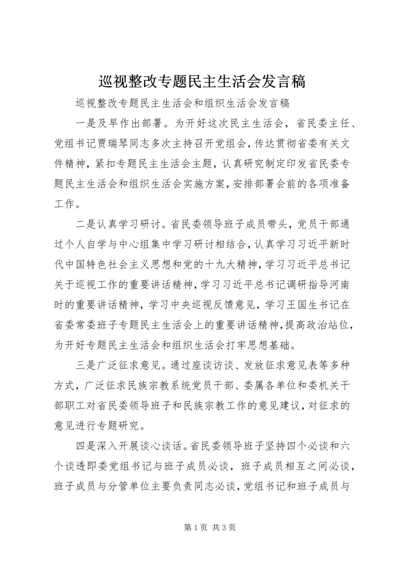 巡视整改专题民主生活会发言稿 (3).docx