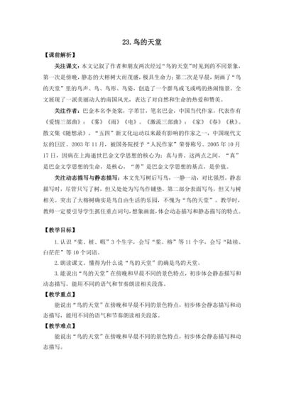 23 鸟的天堂 教案