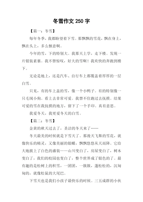 冬雪作文250字0.docx