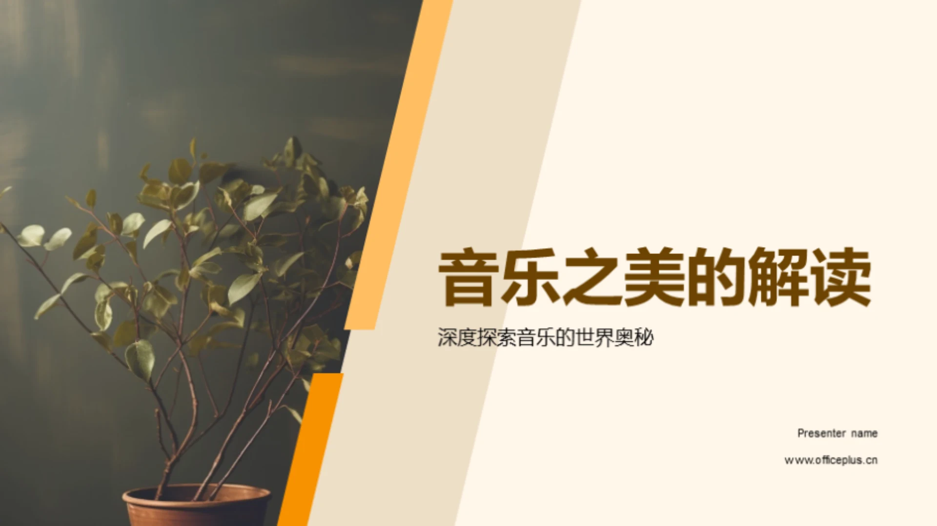 音乐之美的解读