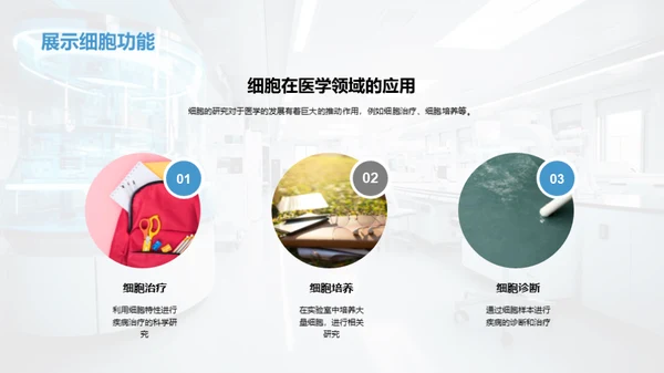 生命之源：细胞揭秘