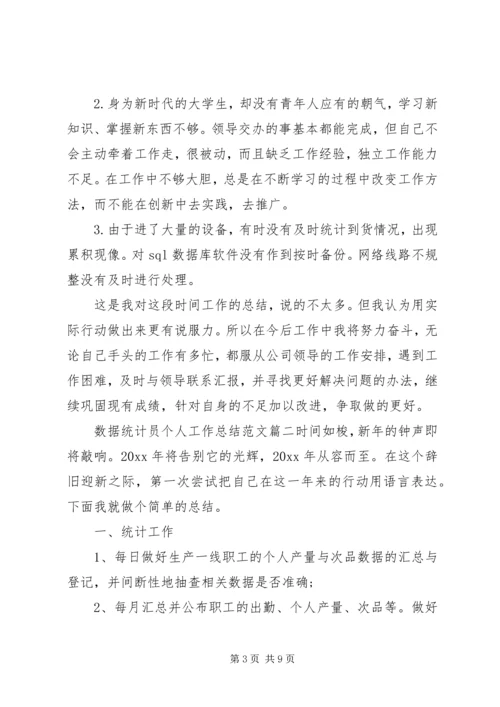 数据统计分析系统数据统计员个人工作总结与计划.docx