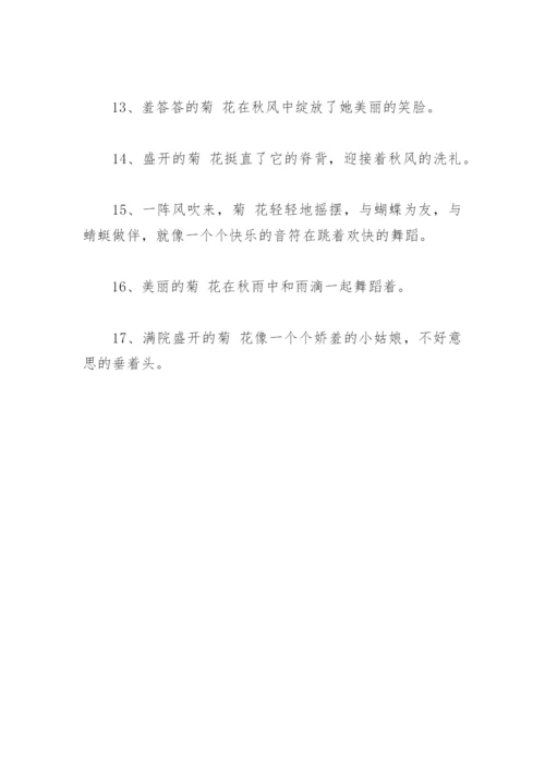 描写菊花拟人句 描写菊花比喻拟人句(精选31句).docx