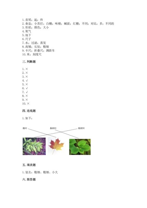 教科版一年级上册科学期末测试卷及参考答案.docx