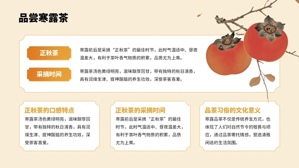橙色中国风寒露节气PPT模板
