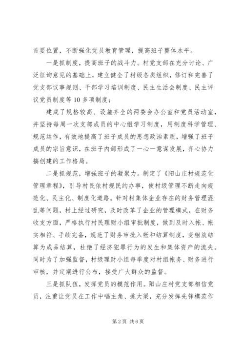 村党支部先进经验材料.docx