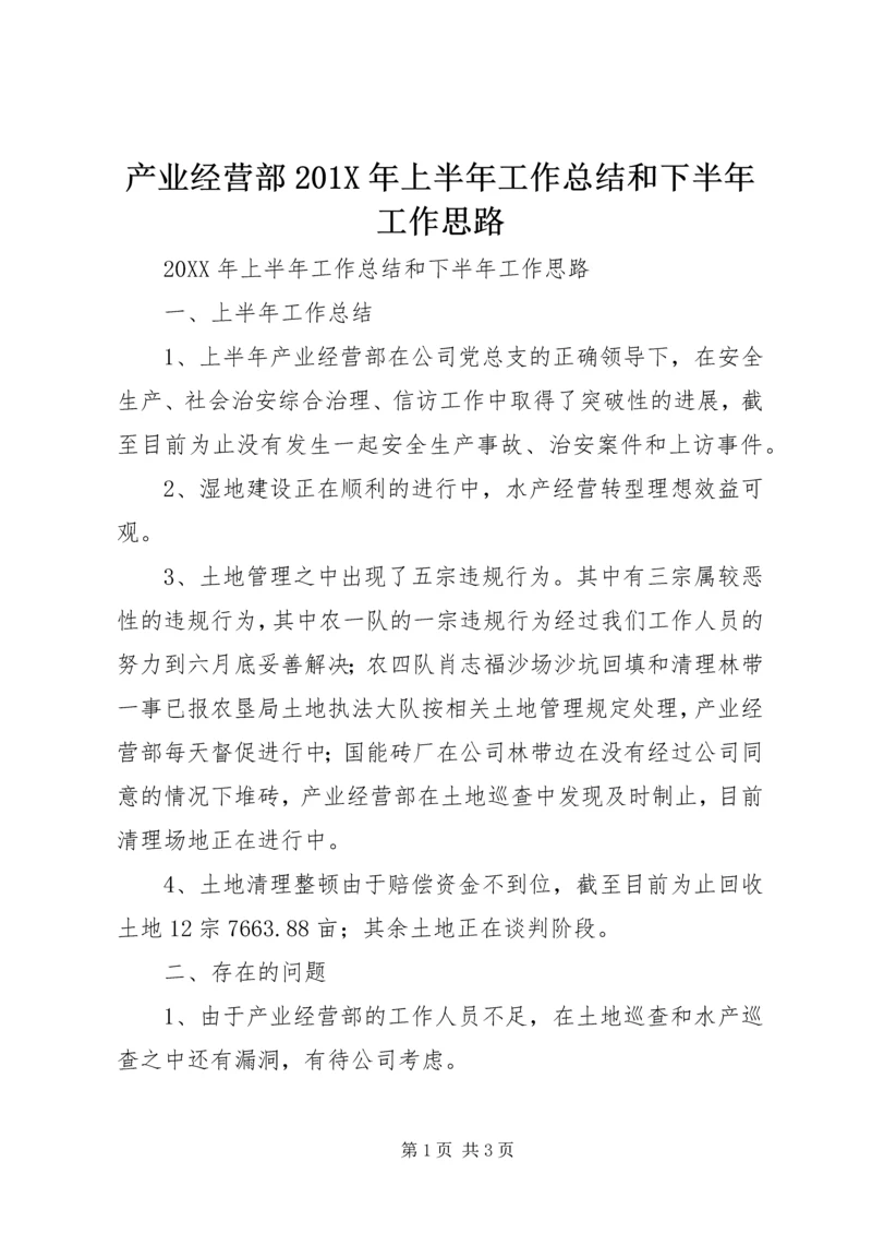 产业经营部201X年上半年工作总结和下半年工作思路.docx