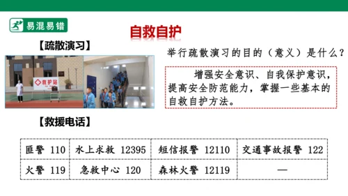 新课标七上第四单元生命的思考复习课件2023