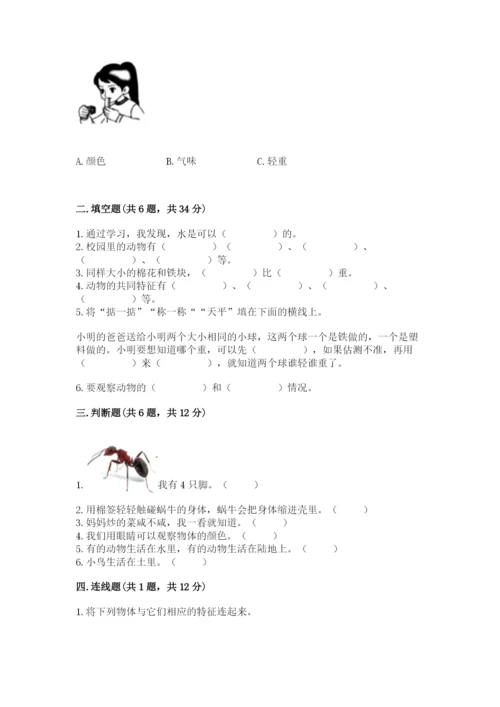 教科版一年级下册科学期末测试卷及参考答案【综合卷】.docx