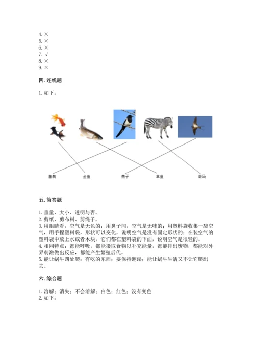 教科版一年级下册科学期末测试卷【word】.docx