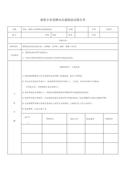 实验：观察小鱼尾鳍内血液的流动实验报告单