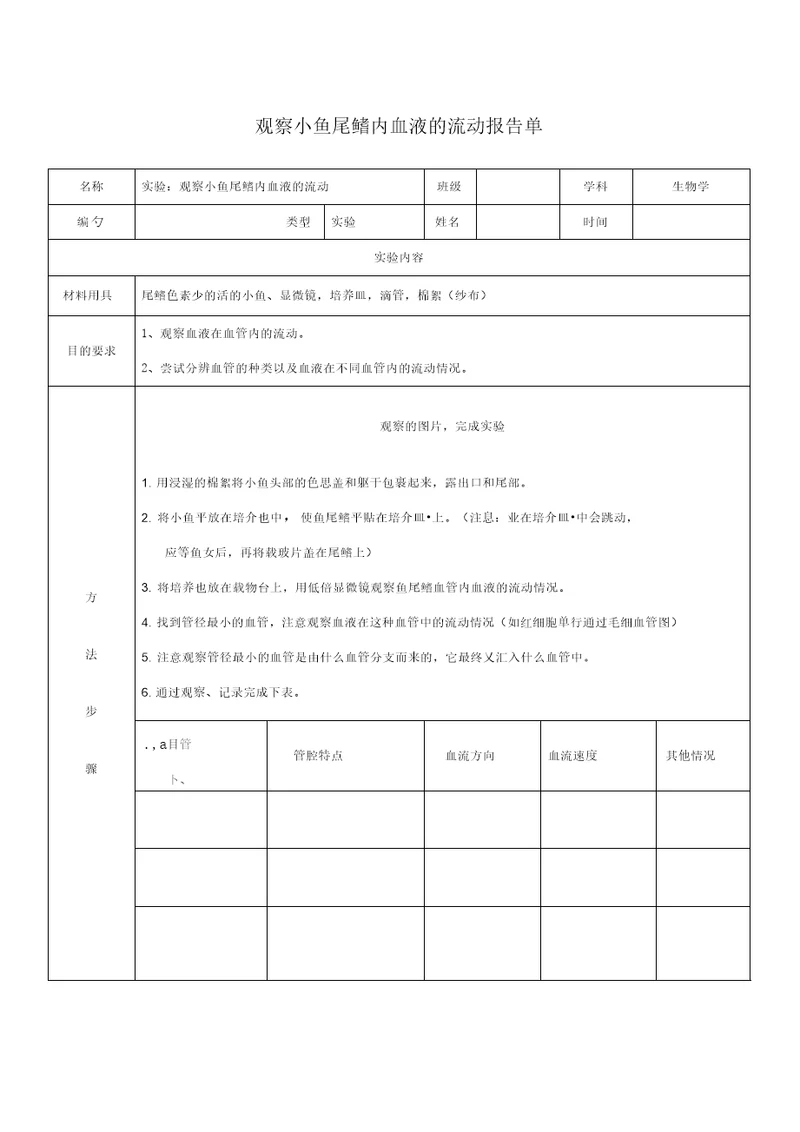 实验：观察小鱼尾鳍内血液的流动实验报告单