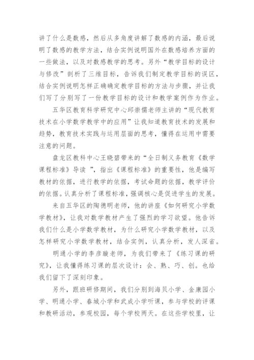 农村中小学数学骨干教师国培培训总结.docx