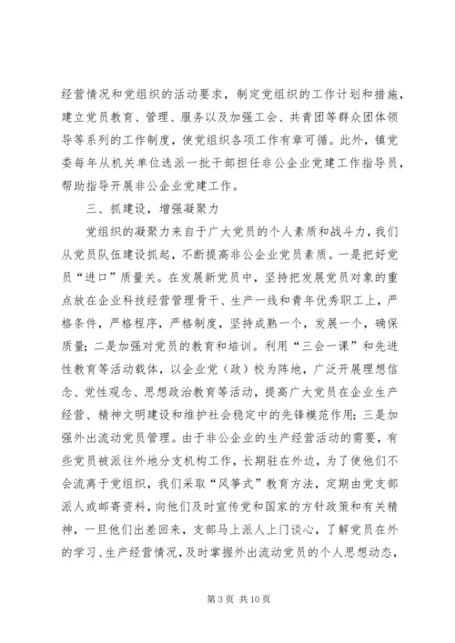 乡镇年度非公党建工作总结暨工作安排.docx