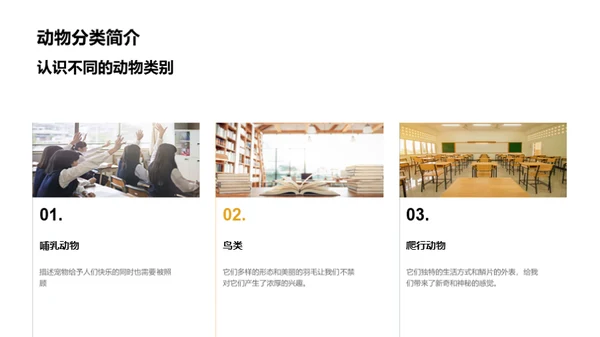 我们的小小动物园