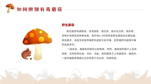 红色简约风毒蘑菇安全教育主题班会安全生产