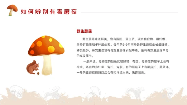 红色简约风毒蘑菇安全教育主题班会安全生产