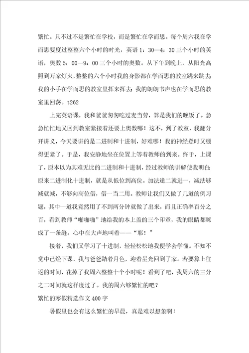 繁忙的寒假精选作文500字