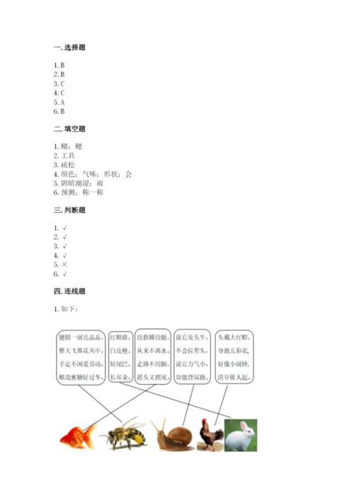 教科版小学科学一年级下册期末测试卷附参考答案【综合卷】.docx
