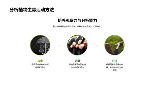 揭秘植物生命