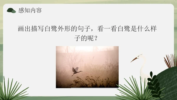 部编版语文五年级上册《白鹭》课件