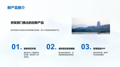 202X旅游业绩效报告