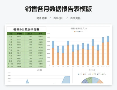 销售各月数据报告表模版
