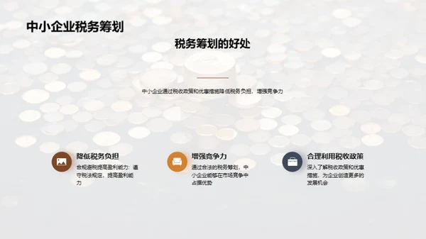 赋税智谋：中小企业之策