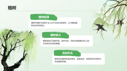 绿色水墨风清明节的文化传承与习俗解析PPT模板