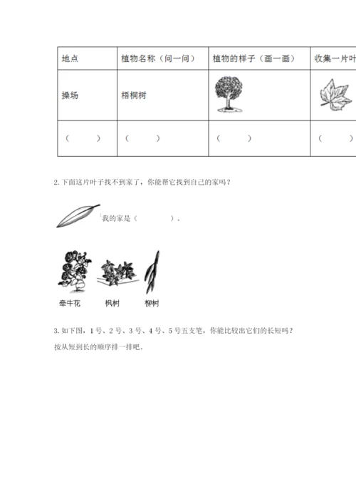 教科版一年级上册科学期末测试卷及参考答案（培优a卷）.docx