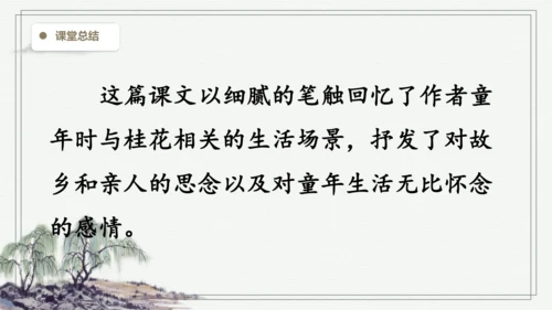 部编版五年级上册语文 3 桂花雨 课件