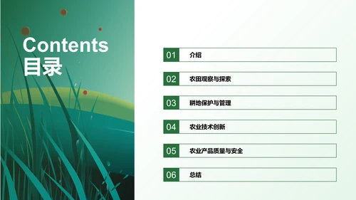 绿色插画农田观察与体验研究报告PPT模板