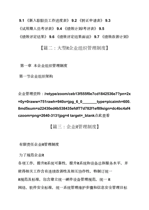 小型it公司专项规章新规制度.docx