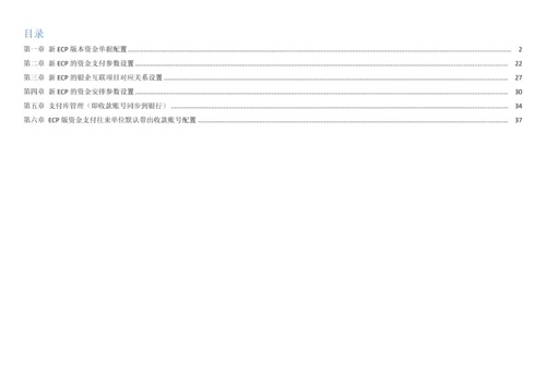 Plus版本资金支付配置手册模板.docx