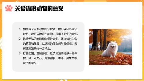 关爱流浪动物PPT模板
